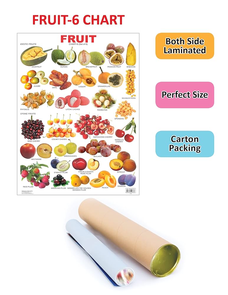 j*t様 SINGLE CHARTBOOK COMPLETE EDITION19 Fruit Chart - 6: Dreamland Publications: 9788184516678